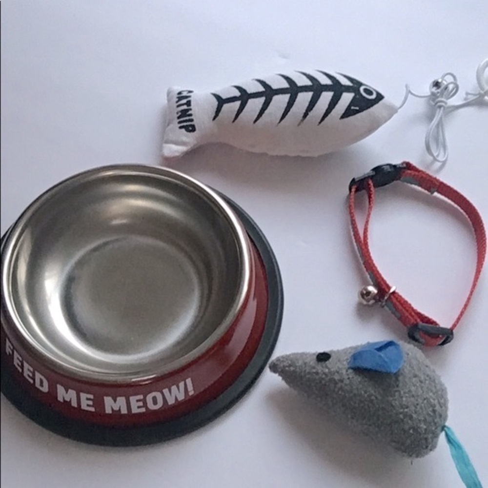 New Cat Kitten Pet Starter Boxed Gift Set Toys Dish Collar - Picture 2 of 9
